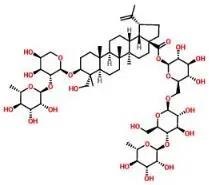 普菲德專(zhuān)題產(chǎn)品推薦-白頭翁系列(圖4)